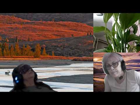 HIPNOZA REGRESIVA.RO-1632.Andreea,Contr.ancestr.,Razboiul,Spiritele Strabunilor. E. LASCU si ELA