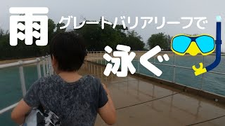 【ダンク島】グレートバリアリーフでシュノーケリング🐟ケアンズ/オーストラリア