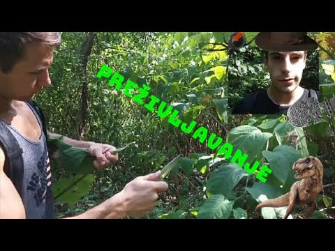 Preživljavanje - zov divljine