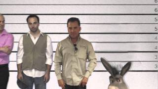 Donkey Gets Arrested for Breaking Out