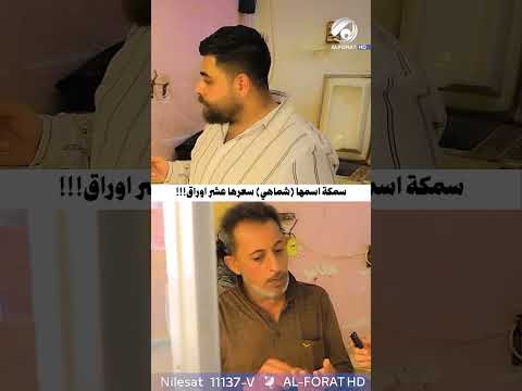 شاهد بالفيديو.. سمكة نوع شماهي سعرها 1000 $ !!!