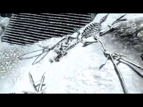 The Elder Scrolls V : Skyrim - Dragonborn Playstation 3