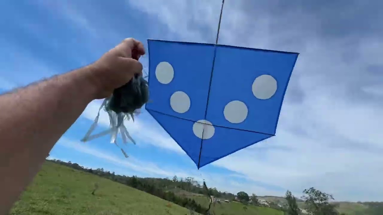 XEPAMOS 20 PIPAS NO FESTIVAL DE PIPA BAMBU X BAMBU