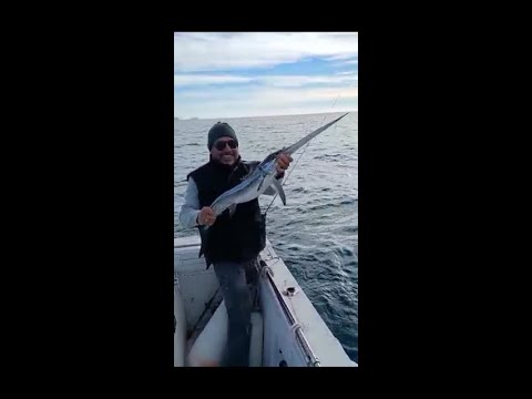 Jean-Claude et Luc à la pêche à la daurade: une pitée surprise d'un espadon