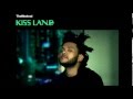 The Weeknd - Professional (Kiss Land )