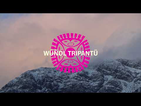 Concierto Wüñol Tripantü - spot