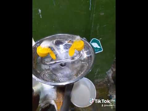 Emergency Eye Wash Hand / Foot Operated SS304