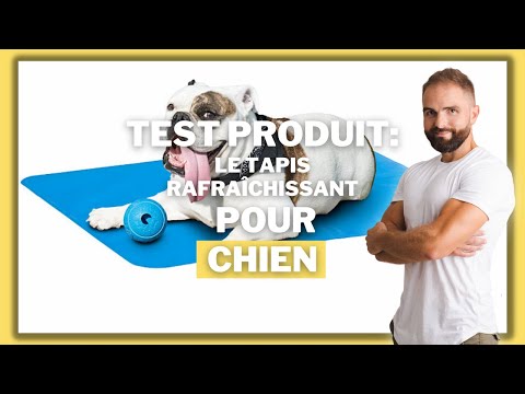 Part of a video titled TEST PRODUIT POUR CHIEN : Le tapis rafraîchissant - YouTube