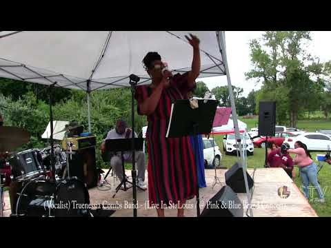 James Ross @ (Vocalist) Truenessia Combs Band - "In My Way" (Vamp) - www.Jross-tv.com (St. Louis)