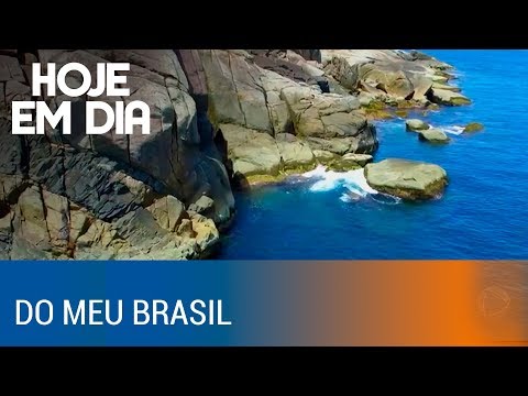 Ilha do Arvoredo (SC) é cercada por vida marinha e muita natureza