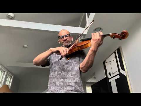 Elgar: Enigma Variations, Theme from Variation XII (played on viola) *Learned by ear*