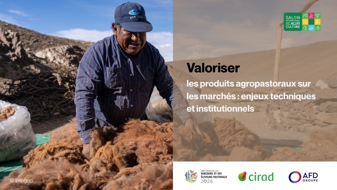 Valoriser les produits agropastoraux sur les marchés : enjeux techniques et institutionnels