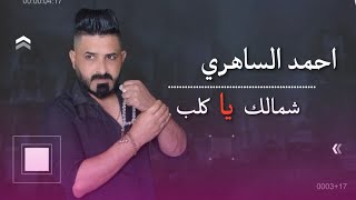 كلمات اغنية شمالك يا كلب احمد الساهري