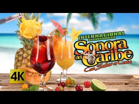 Sonora Del Caribe - Concierto Feria En La Costa 4K