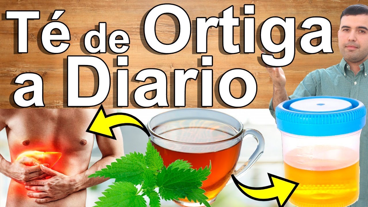 Té De Ortiga Para Todo - Para Qué Sirve Beneficios Para Tu Salud Y Belleza