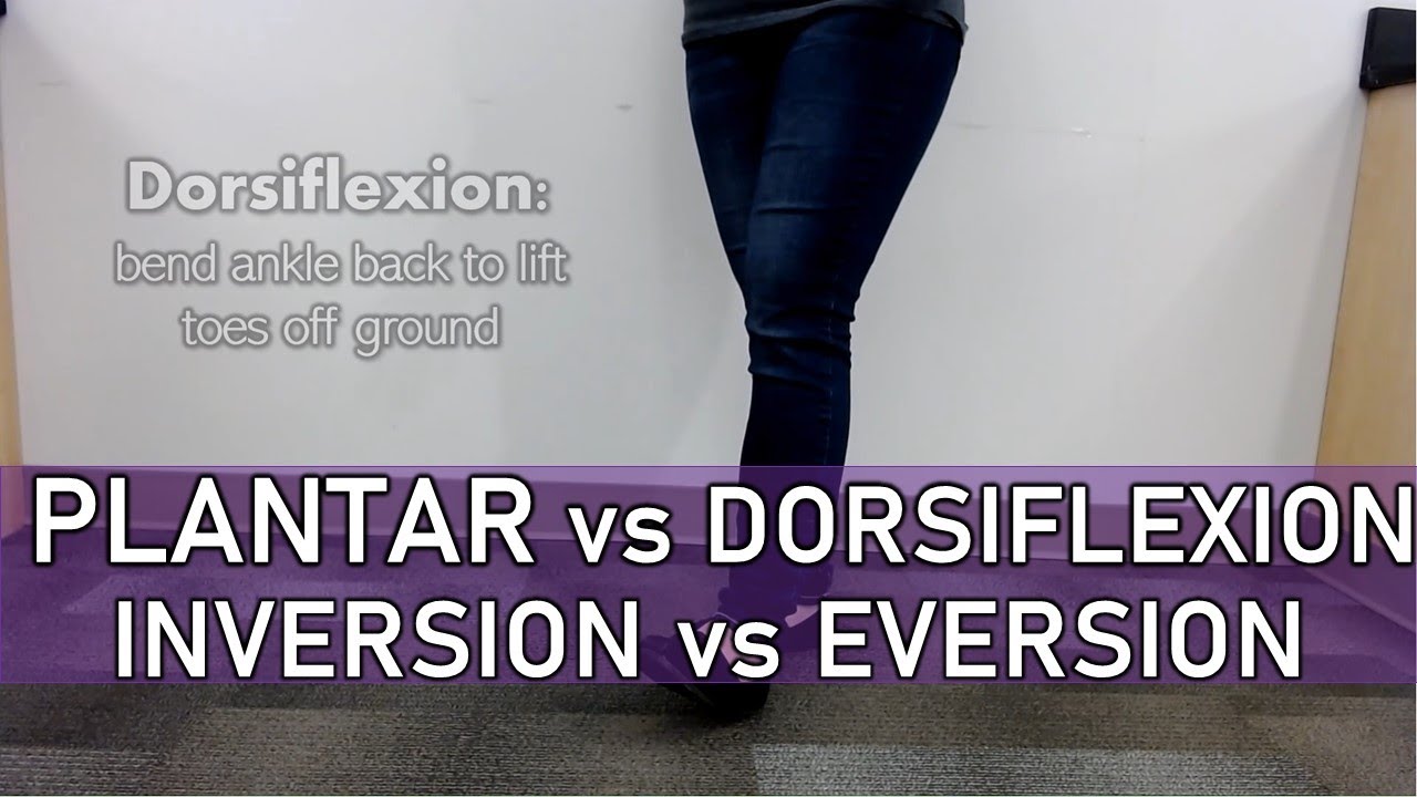 Plantar Flexion vs Dorsiflexion, Inversion vs Eversion