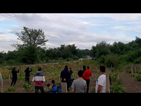 Rally Bulgaria 2021 51-во Рали България