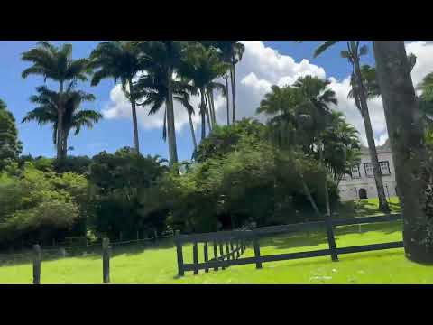 Visitando viçosa Alagoas 