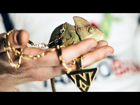 CAMAELEON - TAUSEND MAL