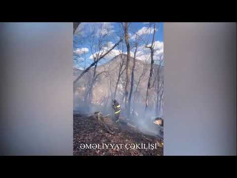FHN Mətbuat xidmətinin məlumatı