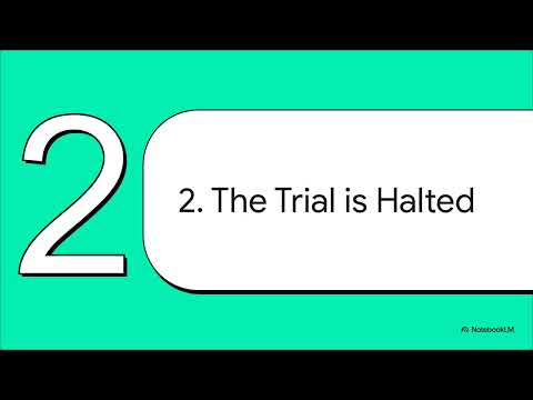 Runway in the Dark: The Queen v Edwards (2009) — Lost Data, Long Delays & the High Bar for a Stay