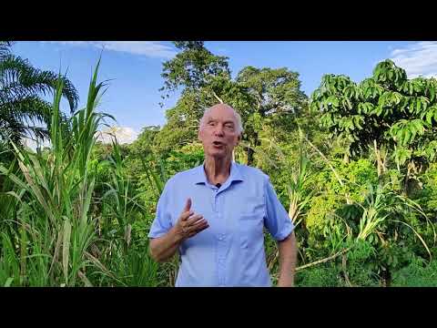 SAVING THE AMAZON WITH YOUR HELP