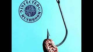 infected mushroom heavyweight meaning infected mushroom heavyweight meaning