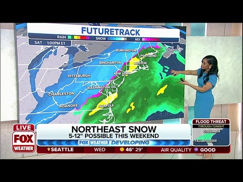 Northeast Could See 5-12 Inches Of Snow From Weekend Winter Storm