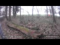 Chasse Au Renard