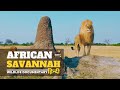 African Savannah - हिन्दी डॉक्यूमेंट्री | Wildlife documentary in Hindi