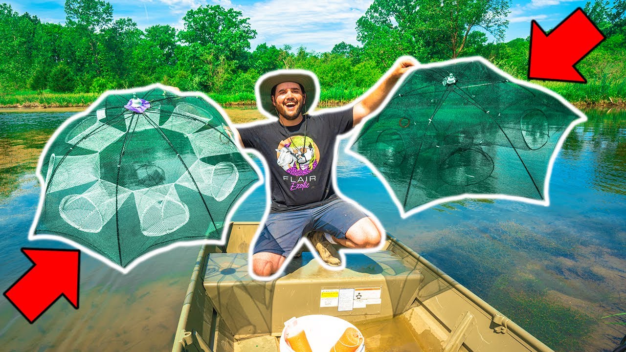 Testing the WORLD'S WORST Fish Traps in My BACKYARD POND!