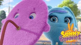 Cartoons for Children | Sunny Bunnies SUNNY BUNNIES BLOW UP BUNNY | Funny Cartoons For Children