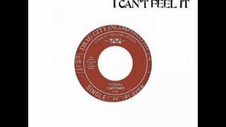 TY SEGALL / i can't feel it