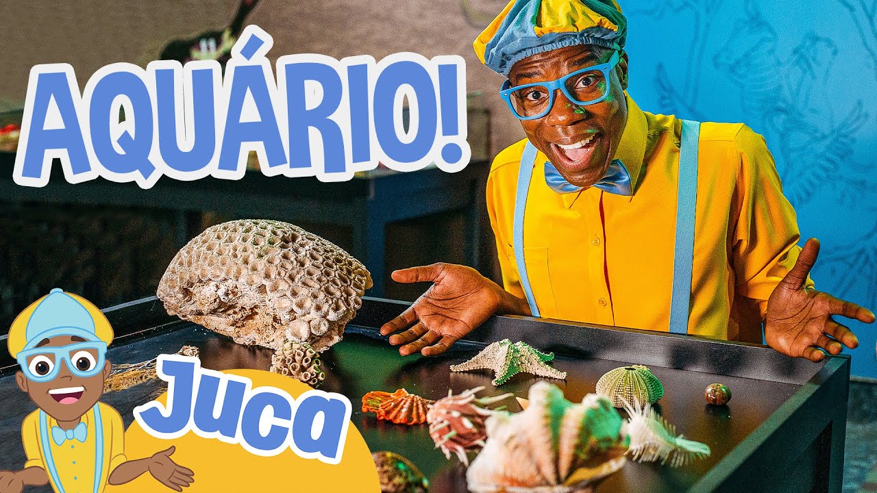🐟 Juca Visita um Aquário (AquaRio)! 🐠 | Episódio Completo | Juca Brasil | Vídeos de Animais