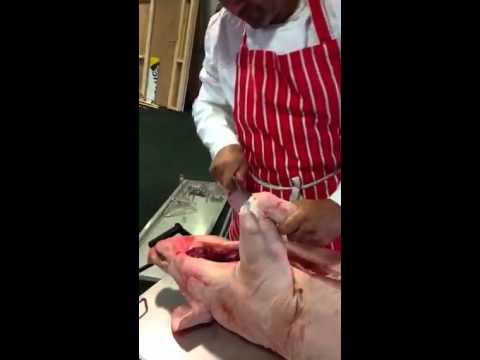 Spit a pig with Spitting Pig 2