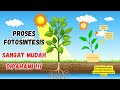 PROSES FOTOSINTESIS PADA TUMBUHAN KELAS 4 SD KURIKULUM MERDEKA