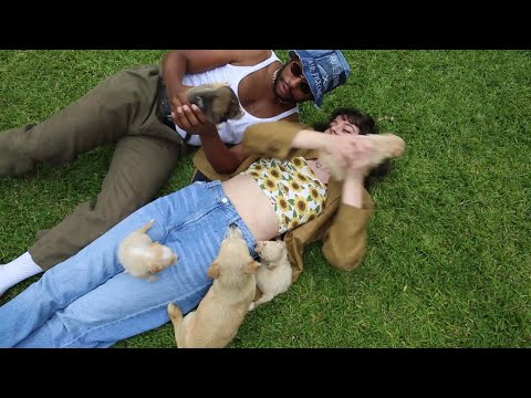 Mr Pigeons - Overflow (Official Music Video)