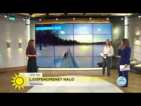 Väderspecial: "Halon är ett optiskt fenomen" - Nyhetsmorgon (TV4)