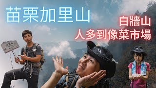 苗栗加里山｜什麼都帶了就是沒帶...｜杜鵑嶺｜雲海還是白牆｜假日三角點像菜市場｜下山之後還有體力可以吵架｜