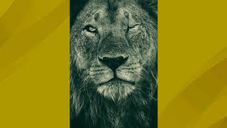 Skip Marley - Lions [ NATURAL MUSIC]