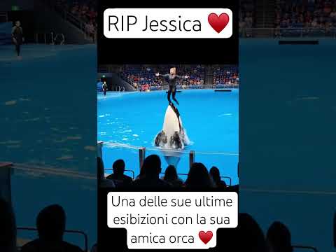 #rip #jessicaradcliffe ♥️ #rip #addio #orca #esibizione #acquario #triste