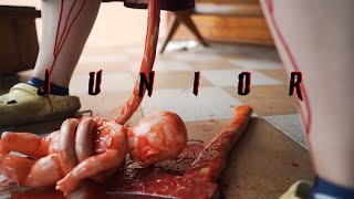 Hrobník Wane - The Nightmare Factory - 08. Junior (Official Video)[Mortem]