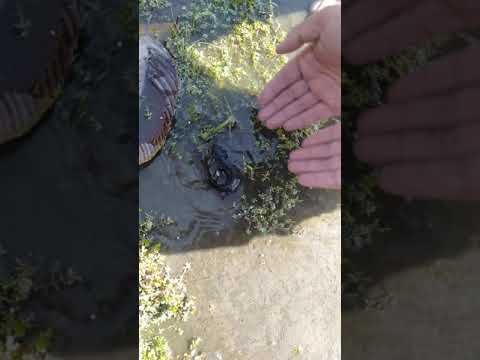 Zaimeng lake 2019 KPI team