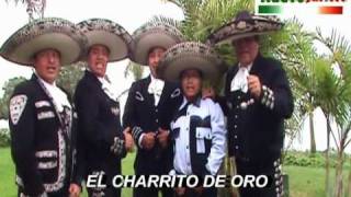 EL SON DE LA NEGRA - MARIACHI NUEVO JALISCO DE CESAR RIVERA - TELFS. 7317601 - 989993475