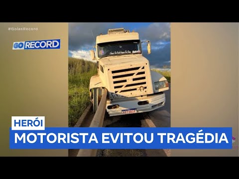 Truck driver avoids highway tragedy and goes viral on the internet