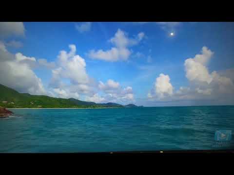 TE - Formigas TV Philco LED 4K