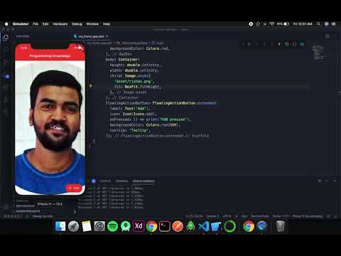 Flutter Tutorial for Beginners 21 All about images ImageAssetComplete