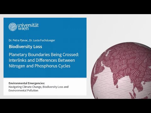 Planetary Boundaries Being Crossed: Interlinks and Differences Between Nitrogen and Phosph