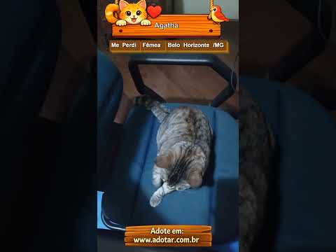 Vídeo de Agatha