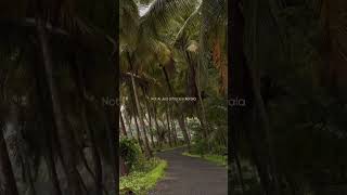 Download lagu Kerala 🍃...#nocopyright mp3